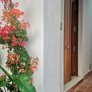 Erizo 3 Loft Diafano En El Centro Historico Apartment Tarifa